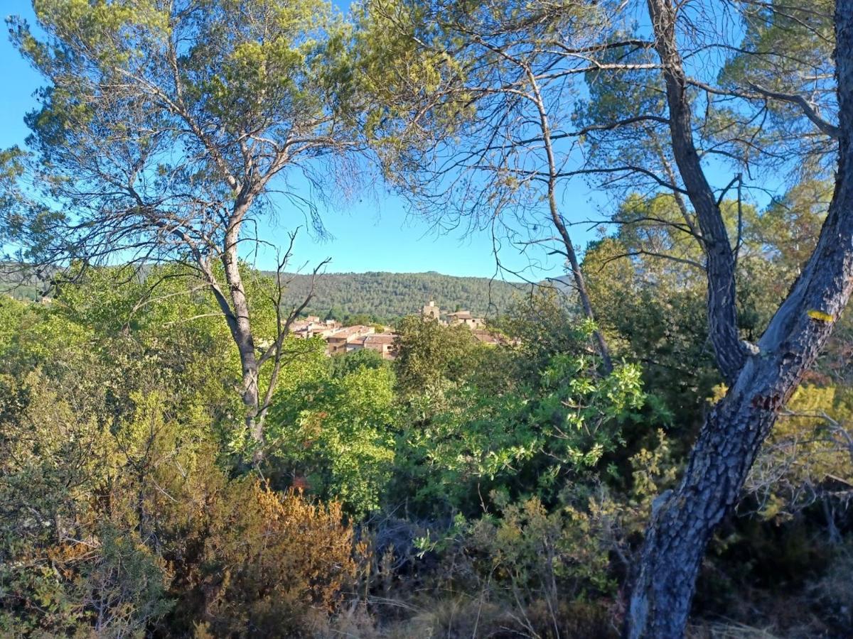 Une Chambre En Provence Correns Экстерьер фото